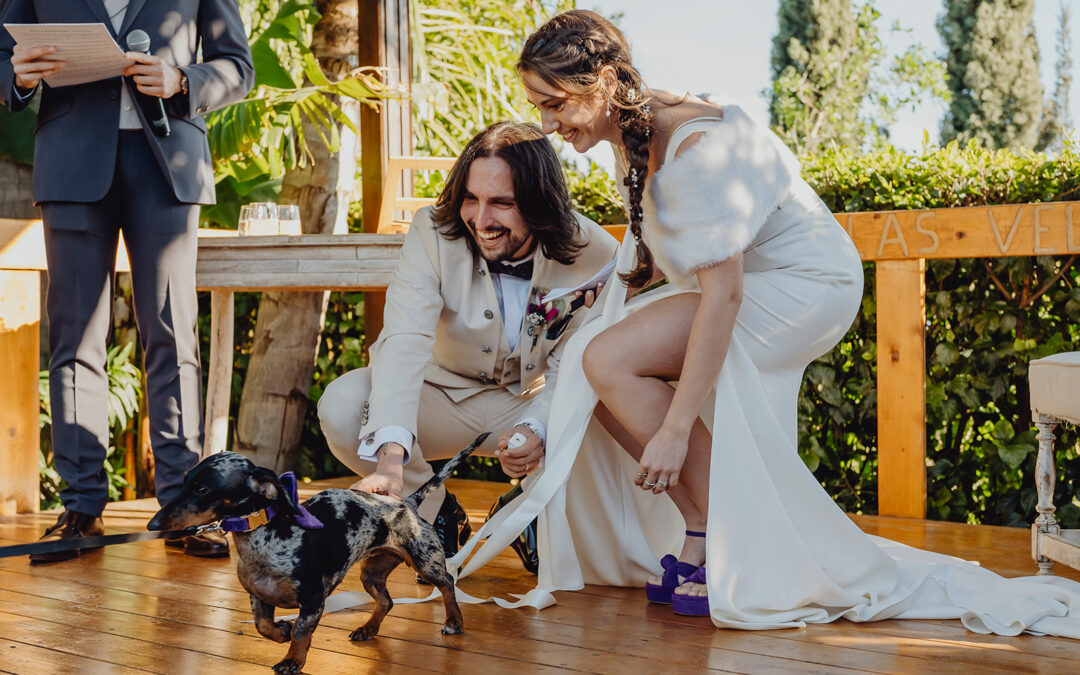 Boda – Ana y Alejandro