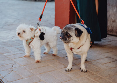 160526_4545